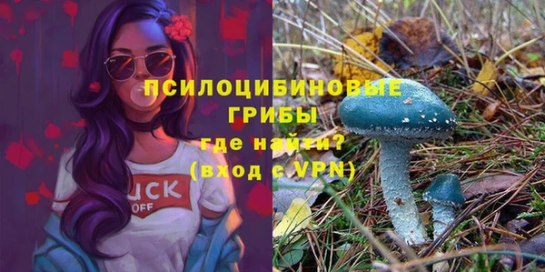 мескалин Абинск