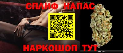 крисы Славянск-на-Кубани