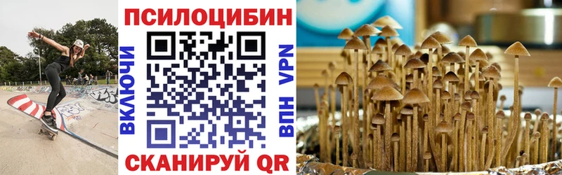 Псилоцибиновые грибы MAGIC MUSHROOMS  купить  цена  KRAKEN вход  Партизанск 