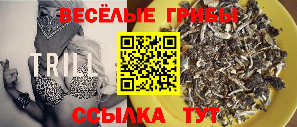 Галлюциногенные грибы прущие грибы  Псилоцибиновые грибы Magic Shrooms  даркнет сайт  Партизанск  Вход с VPN 